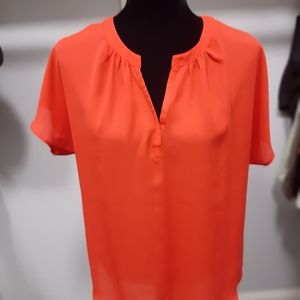 Belissimo sheer top